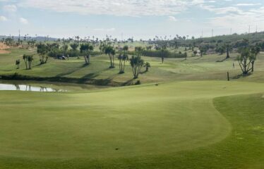 Residential Villas Male, New Build in Orihuela