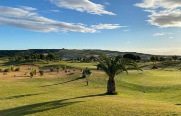 Residential Villas Male, New Build in Orihuela